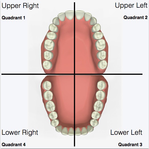 Brushing technique how to improve yours cheadle dental blog 