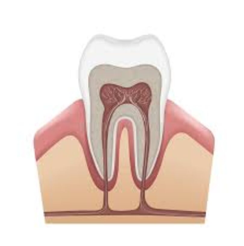 blog - Cheadle Hulme Dental